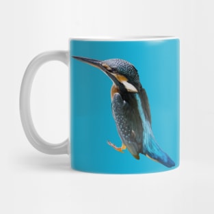 A Turquoise Blue Eurasian Bird Vector Cut Out Mug